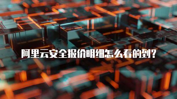 阿里云安全报价明细怎么看的到？