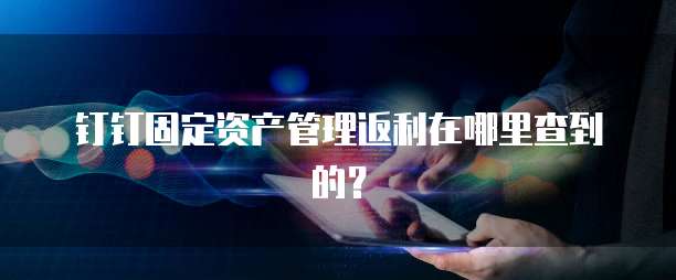 钉钉固定资产管理返利在哪里查到的?