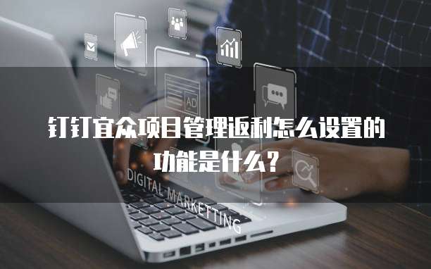 钉钉宜众项目管理返利怎么设置的功能是什么?