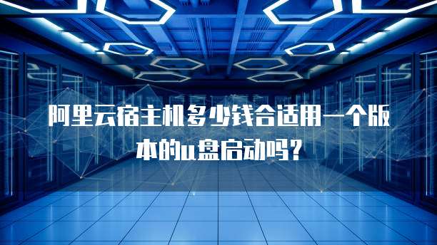 阿里云宿主机多少钱合适用一个版本的u盘启动吗?