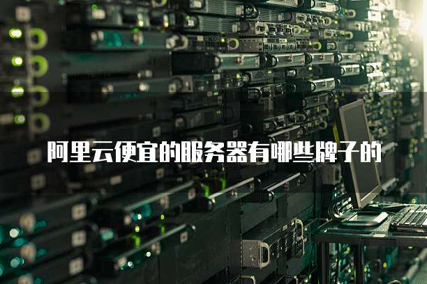 阿里云便宜的服务器有哪些牌子的