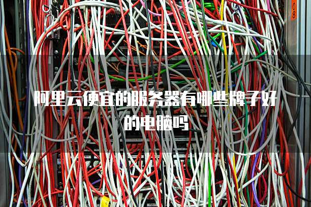 阿里云便宜的服务器有哪些牌子好的电脑吗