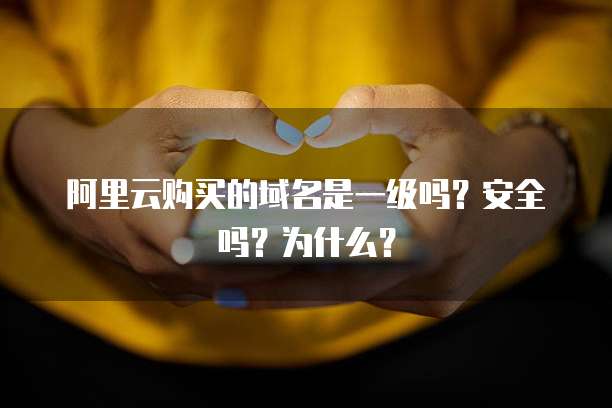 阿里云购买的域名是一级吗?安全吗?为什么?