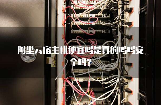 阿里云宿主机便宜吗是真的吗吗安全吗?