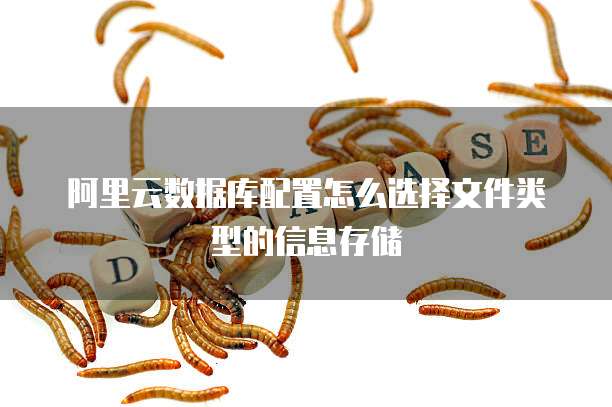 阿里云数据库配置怎么选择文件类型的信息存储