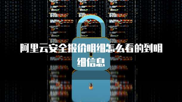 阿里云安全报价明细怎么看的到明细信息