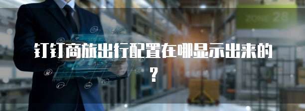 钉钉商旅出行配置在哪显示出来的？