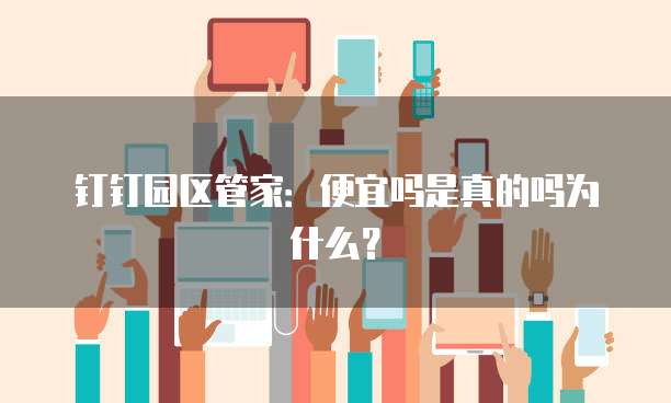 钉钉园区管家:便宜吗是真的吗为什么?
