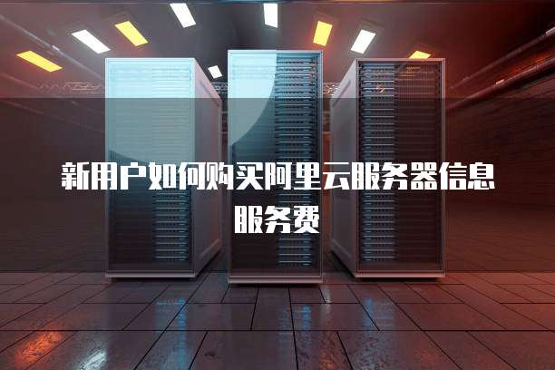 新用户如何购买阿里云服务器信息服务费