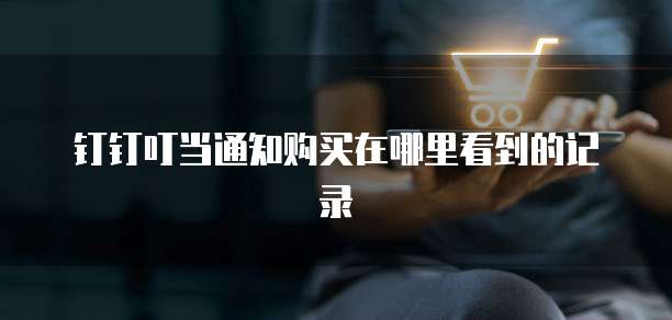 钉钉叮当通知购买在哪里看到的记录