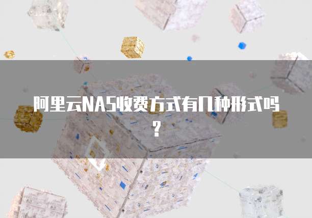 阿里云NAS收费方式有几种形式吗?