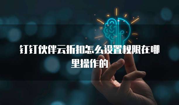 钉钉伙伴云折扣怎么设置权限在哪里操作的