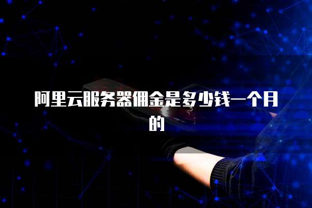 阿里云服务器佣金是多少钱一个月的