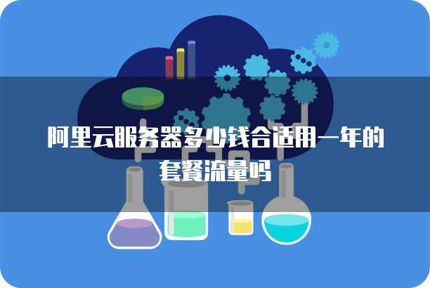阿里云服务器多少钱合适用一年的套餐流量吗