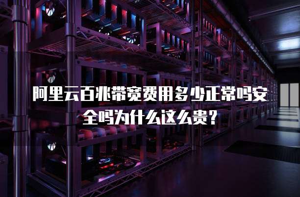 阿里云百兆带宽费用多少正常吗安全吗为什么这么贵？