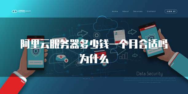 阿里云服务器多少钱一个月合适吗为什么