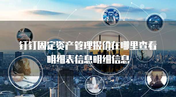 钉钉固定资产管理报价在哪里查看明细表信息明细信息