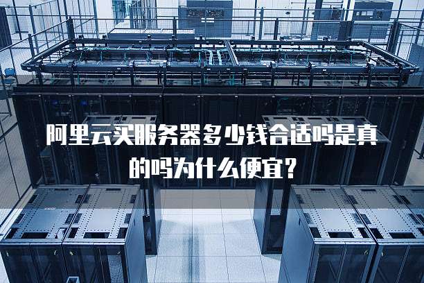 阿里云买服务器多少钱合适吗是真的吗为什么便宜?
