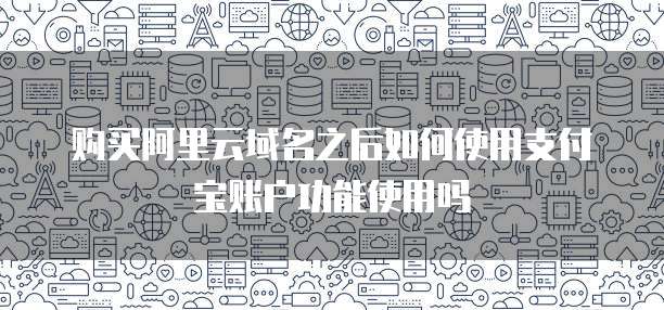 购买阿里云域名之后如何使用支付宝账户功能使用吗