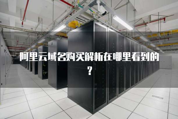 阿里云域名购买解析在哪里看到的?