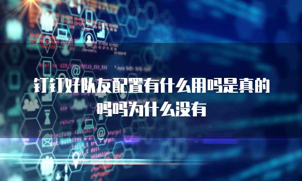 钉钉好队友配置有什么用吗是真的吗吗为什么没有