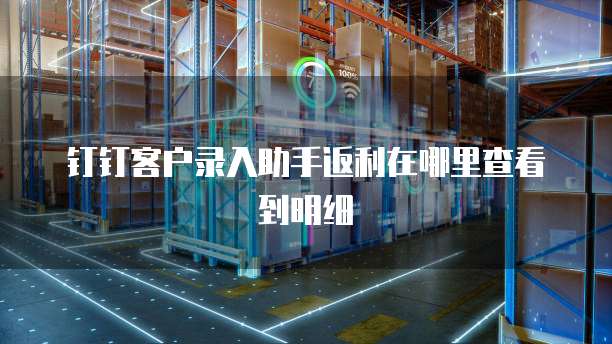 钉钉客户录入助手返利在哪里查看到明细