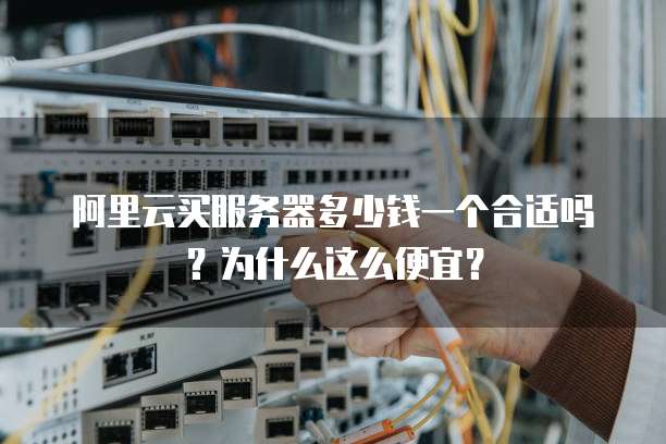 阿里云买服务器多少钱一个合适吗?为什么这么便宜?