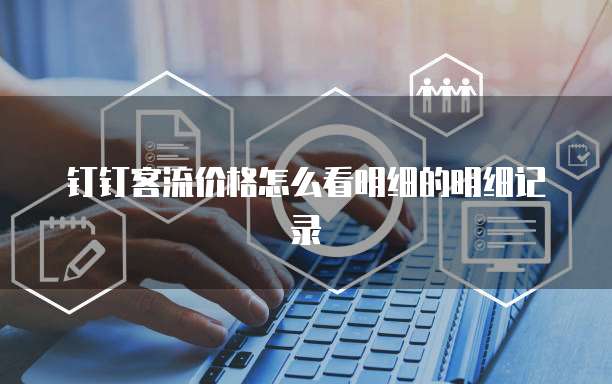 钉钉客流价格怎么看明细的明细记录