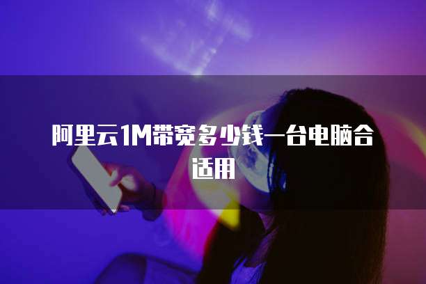 阿里云1m带宽多少钱一台电脑合适用