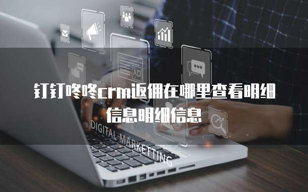钉钉咚咚crm返佣在哪里查看明细信息明细信息