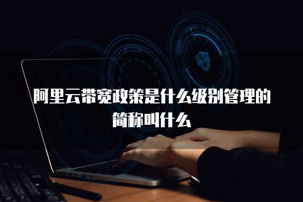 阿里云带宽政策是什么级别管理的简称叫什么