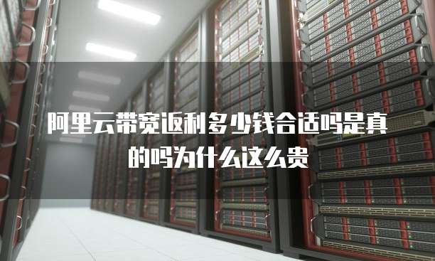阿里云带宽返利多少钱合适吗是真的吗为什么这么贵