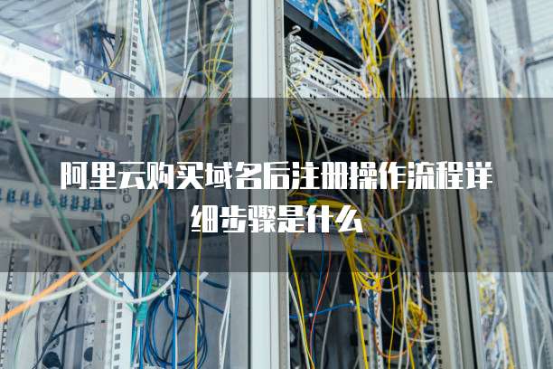 阿里云购买域名后注册操作流程详细步骤是什么