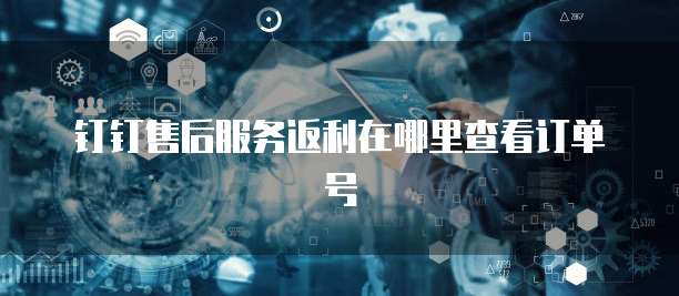 钉钉售后服务返利在哪里查看订单号