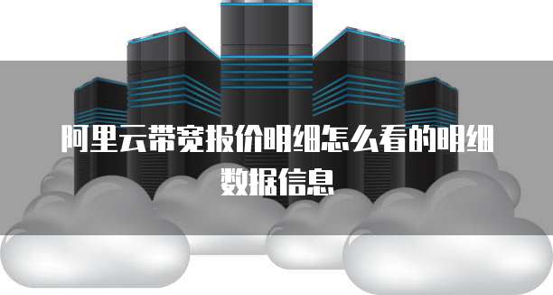 阿里云带宽报价明细怎么看的明细数据信息