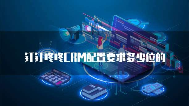 钉钉咚咚CRM配置要求多少位的