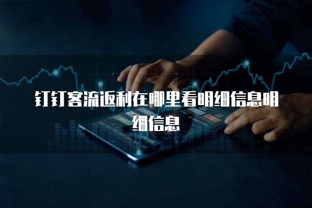 钉钉客流返利在哪里看明细信息明细信息