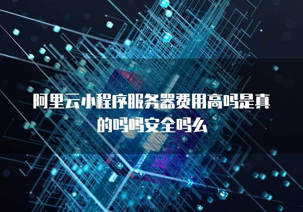 阿里云小程序服务器费用高吗是真的吗吗安全吗么