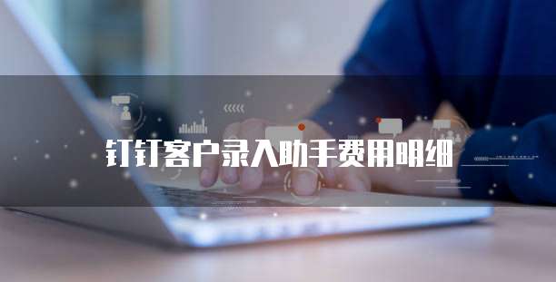 钉钉客户录入助手费用明细