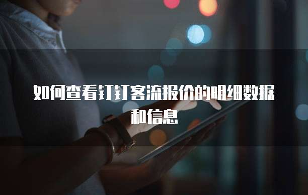 如何查看钉钉客流报价的明细数据和信息