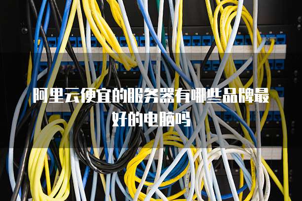 阿里云便宜的服务器有哪些品牌最好的电脑吗