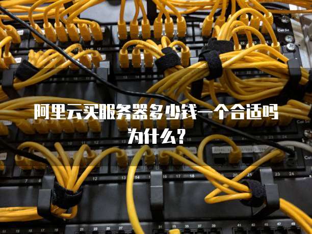 阿里云买服务器多少钱一个合适吗为什么?