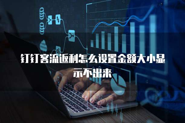 钉钉客流返利怎么设置金额大小显示不出来