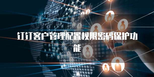钉钉客户管理配置权限密码保护功能