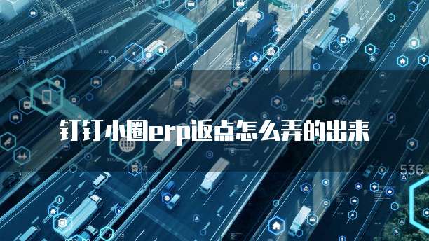钉钉小圈erp返点怎么弄的出来