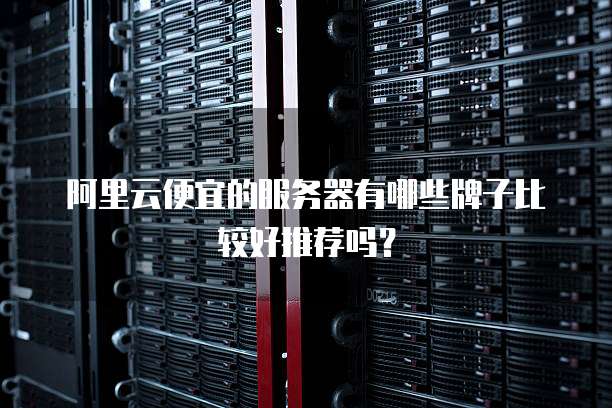 阿里云便宜的服务器有哪些牌子比较好推荐吗?