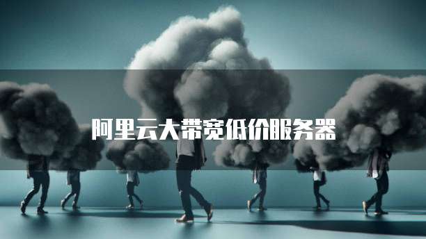 阿里云大带宽低价服务器
