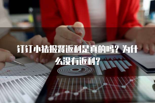 钉钉小猪报餐返利是真的吗?为什么没有返利?