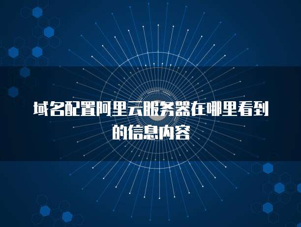 域名配置阿里云服务器在哪里看到的信息内容