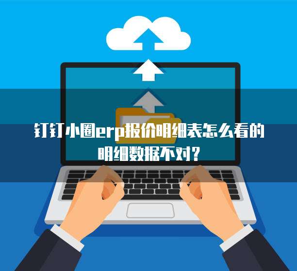 钉钉小圈erp报价明细表怎么看的明细数据不对?
